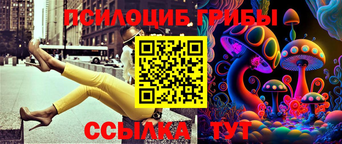 Псилоцибиновые грибы ЛСД Кузнецк
