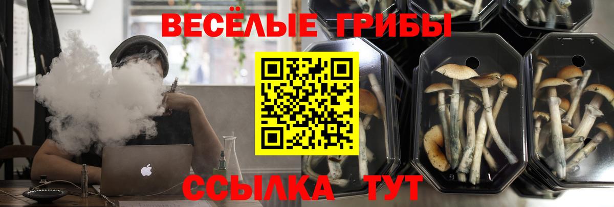 Кузнецк  Галлюциногенные грибы ЛСД  Вход с VPN 
